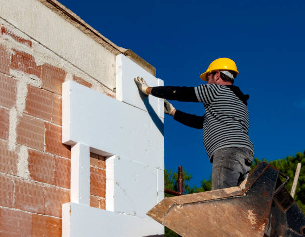 Best Insulation Maintenance and Repair in Swansea, IL